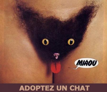 Minou...