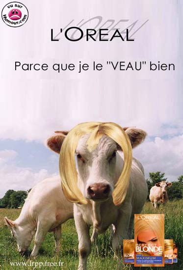 Pub !