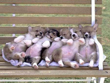 Grosse fatigue