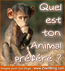 Le mien c'est à toi de trouver