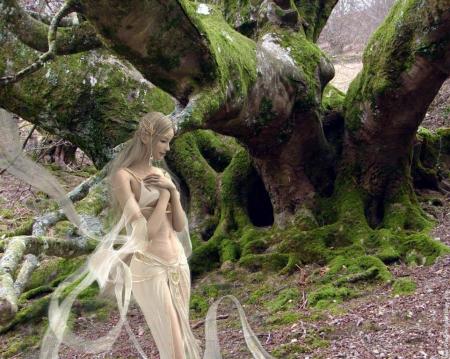 La fée des bois.