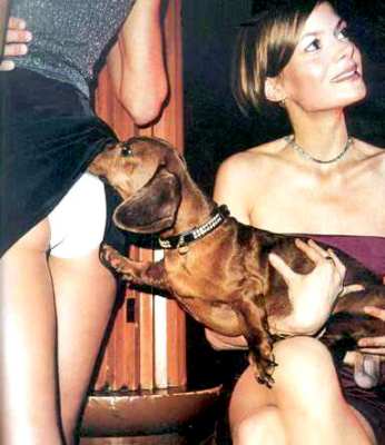 Bien dressé le chien non ?