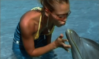 Mais c'est Flipper...